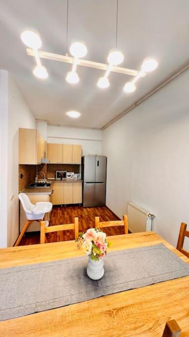 Otopeni Airport Apartment With Private Garden Exterior photo